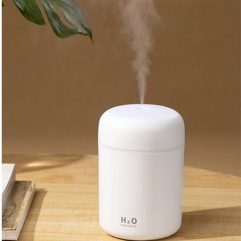 Mini H2O Humidifier