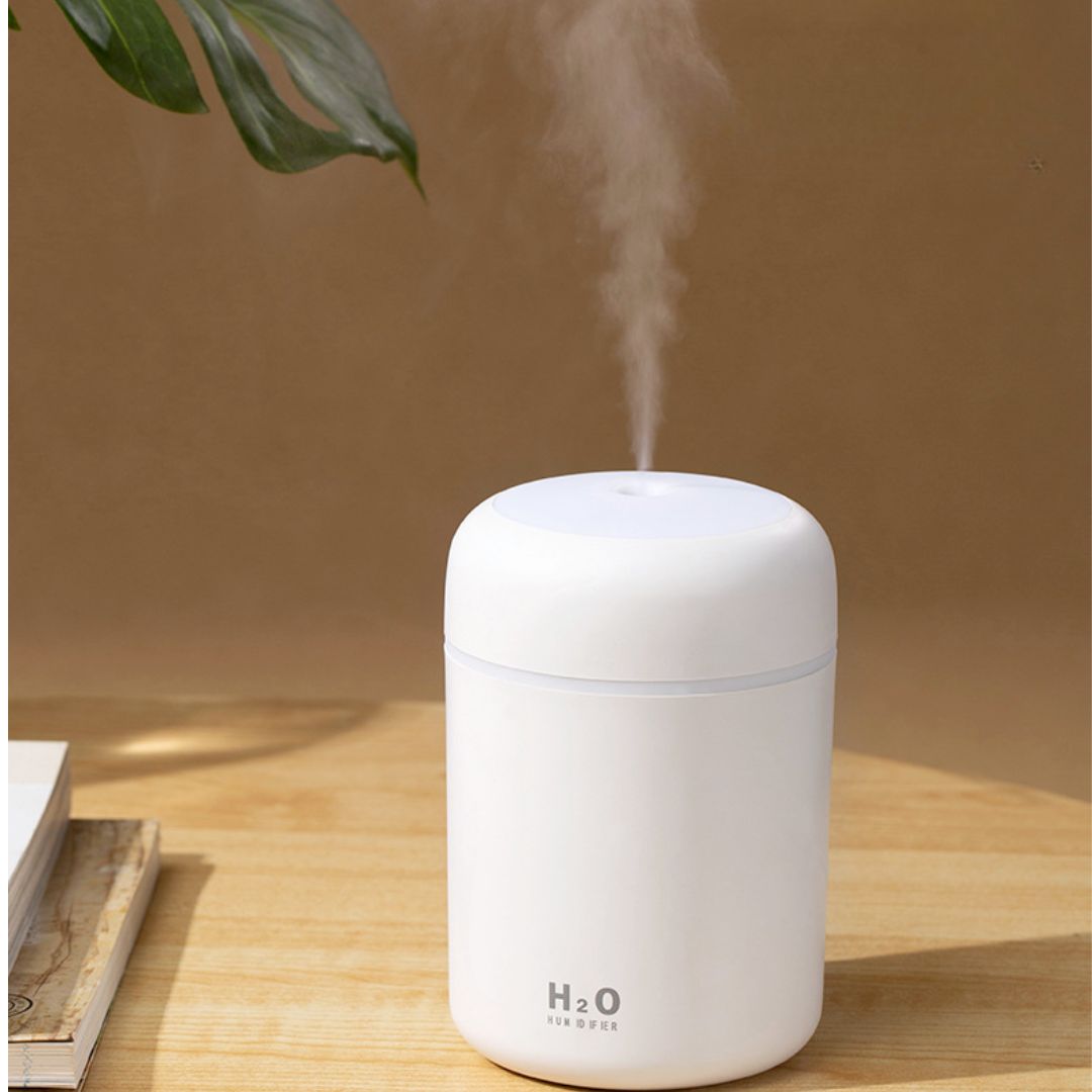 Mini H2O Humidifier