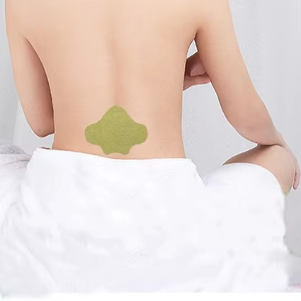 Natural Herbal Lumbar Spine Patch