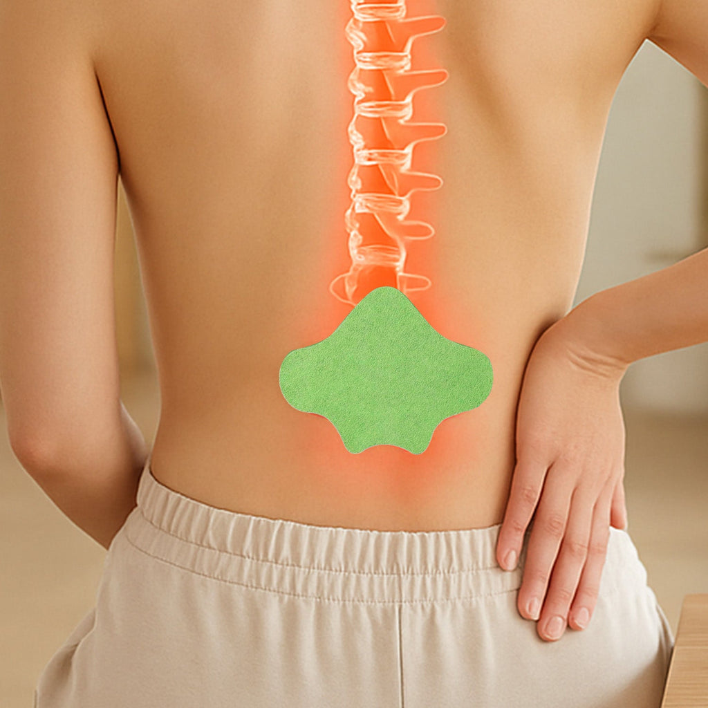 Natural herbal lumbar spine patch for lower back support