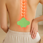 Natural herbal lumbar spine patch for lower back support